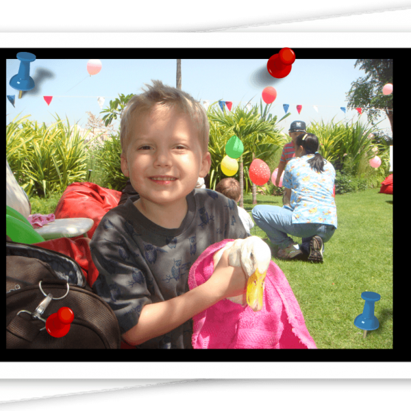Pet Zoo Events Emirates